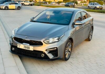 07A5D033-74C5-4BFE-8AFD-F3446F9BA4B4