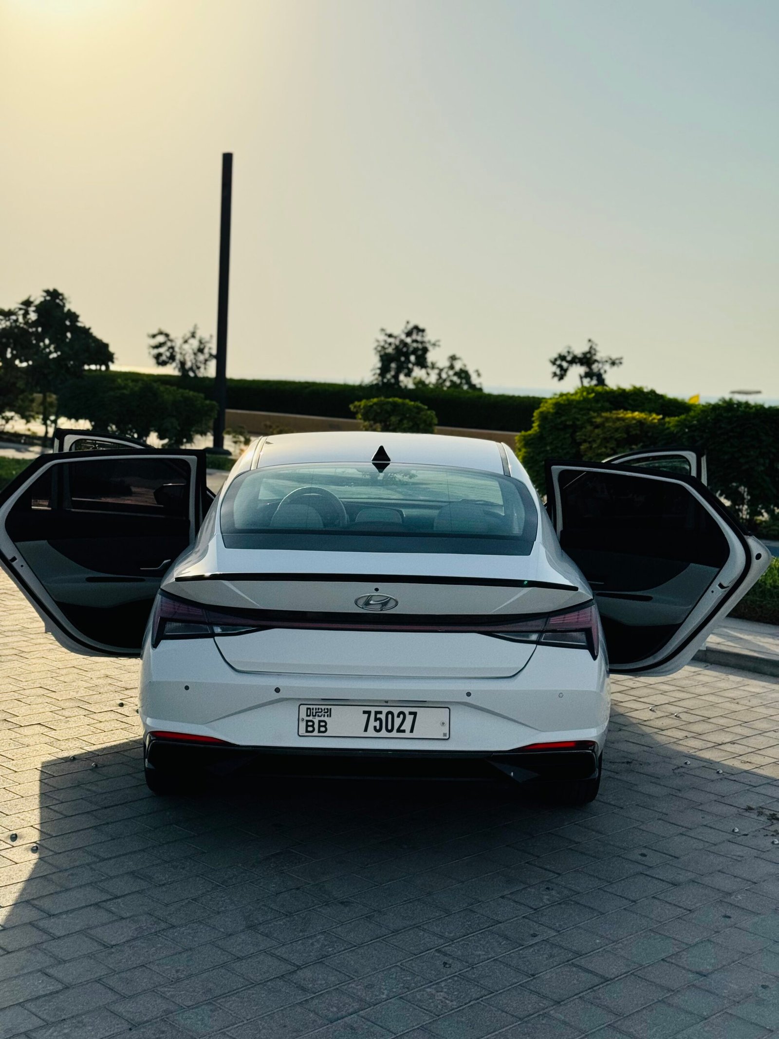 Hyundai Elantra monthly