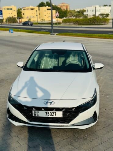 Hyundai Elantra monthly