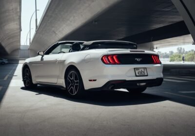 855dd95c-7860-4dc6-81e1-7600386ac79c