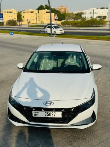 Hyundai Elantra monthly