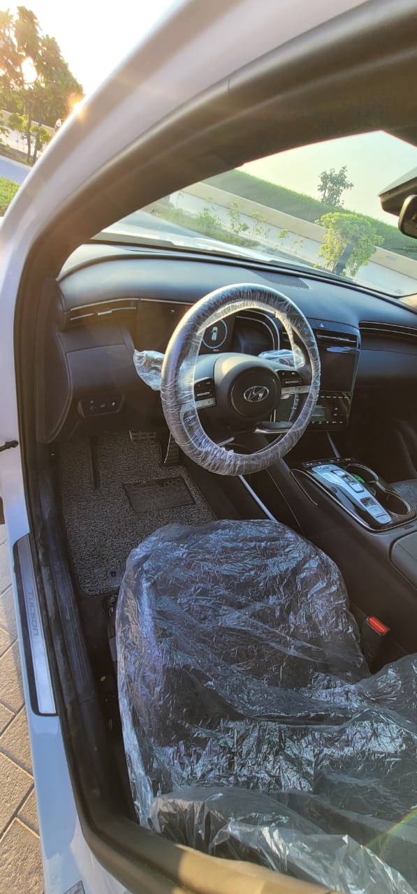 Hyundai Elantra monthly