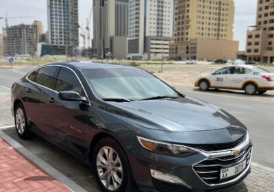 WhatsApp-Image-2024-03-27-at-10.54.24_38699b3f