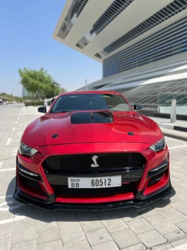 Ford Mustang V8 with Shelby kit