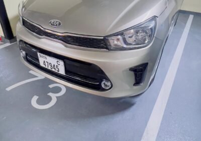 WhatsApp-Image-2024-10-29-at-18.09.03_4098926d